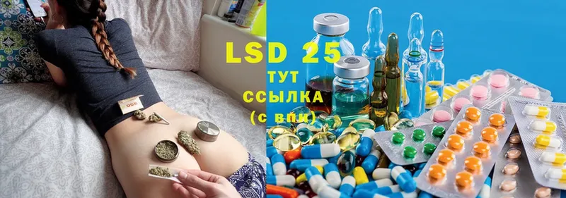 дарнет шоп  Починок  LSD-25 экстази кислота 